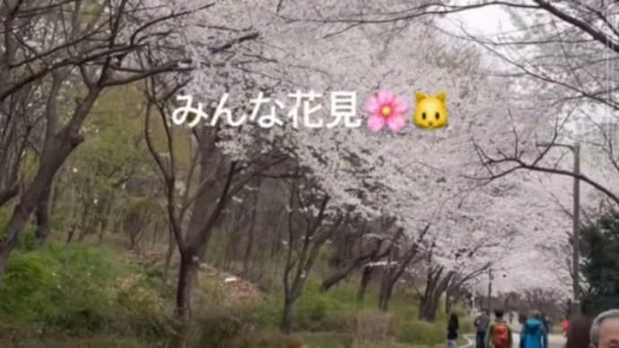 4/9 ソル&ソニ&ウシクのインスタ&インスタストーリー写真は〜(BGMあり)
