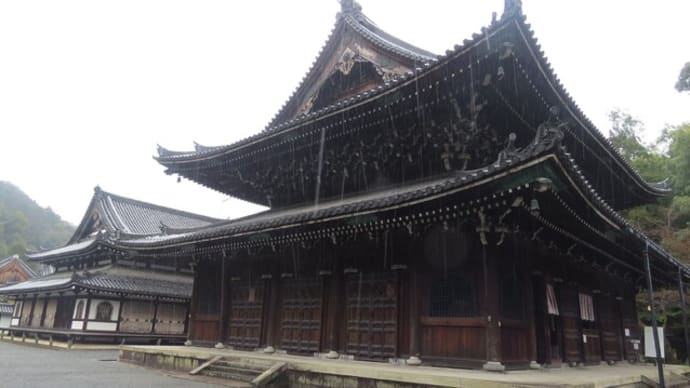 雨降る泉涌寺を歩く