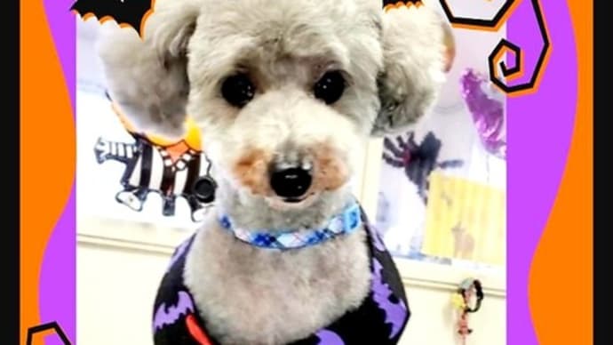 🎃 手の内は。。。🦇 👻見せなーーーい🎵 🐩