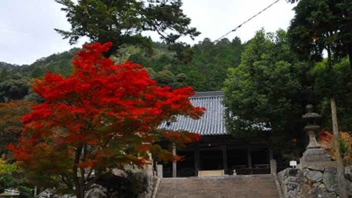 大滝山 福生寺の紅葉