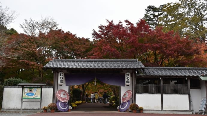 もみじ狩り 静岡県伊豆市修善寺 虹の郷(2)菖蒲門から日本庭園へ