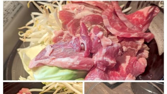 はねもんやで生ラムジンギスカン