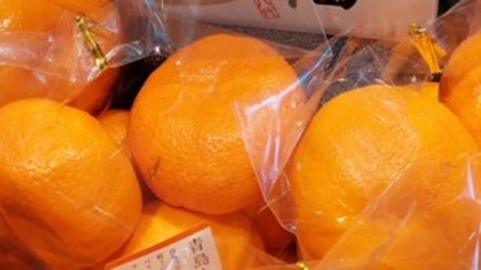 柑橘類の匂い