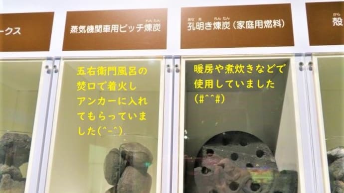 福岡県田川市石炭・歴史博物館「炭坑王」＆爆睡中でしゅミャミャ🐈