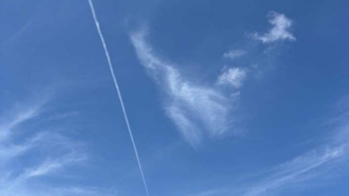 晴れた日のみなと公園