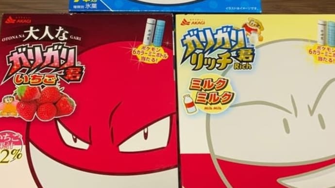 間違ってない、間違ってはいない、駄菓子菓子。