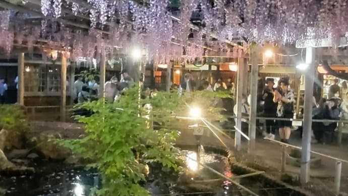 北方文化博物館へ