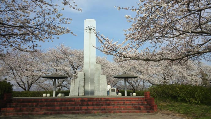 水辺公園の桜2022/3/30午後
