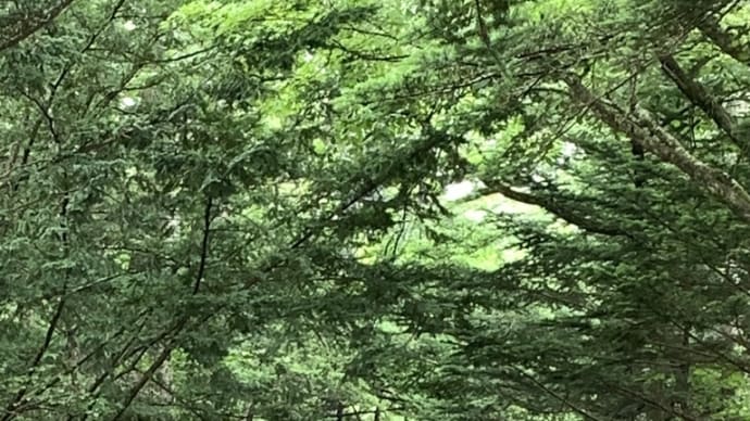 雲場池