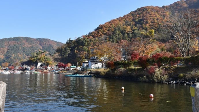 もみじ狩り 山梨県富士河口湖町 第22回富士河口湖紅葉まつり2日目(8)観光遊覧船アンソレイユ号乗船