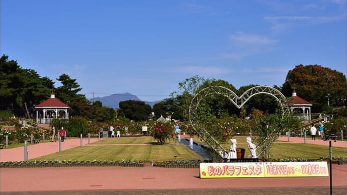 「敷島公園ばら園」の ばら