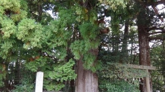 尾鷲旅行で熊野古道と触れた3