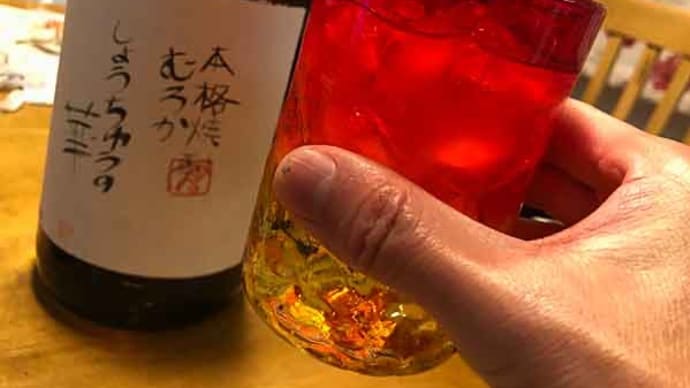 長女の成人式をしんみりと祝う!