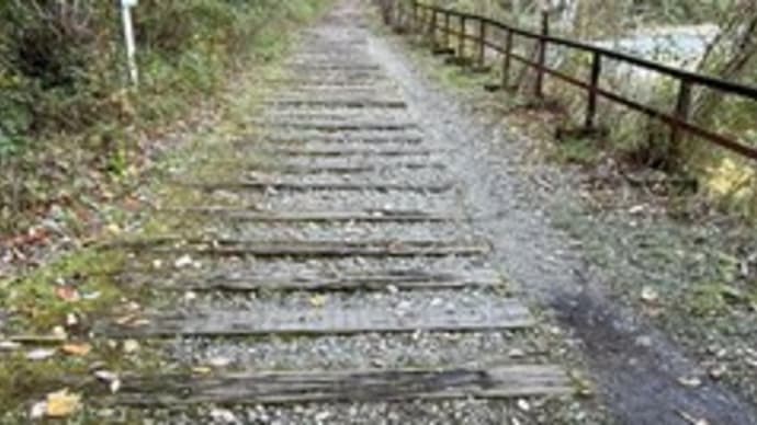 JR福知山線廃線跡ハイキングで紅葉狩り