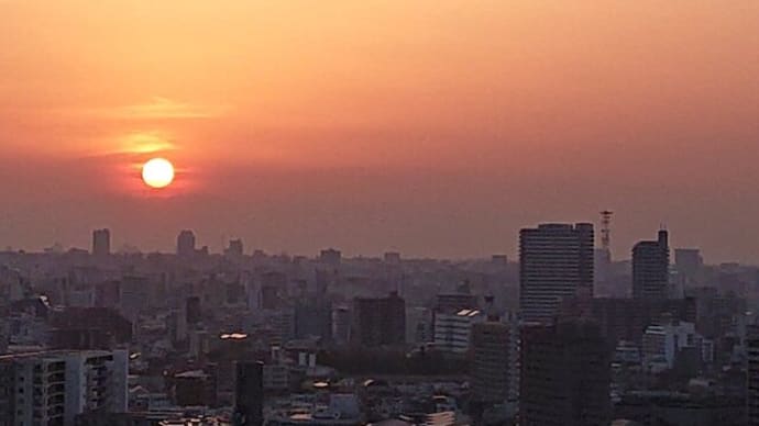 ブログ220410 東京の夕陽