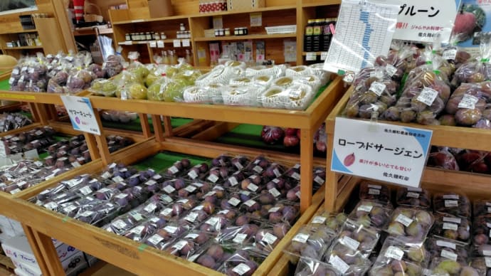 旬の果物入荷しております♪(*´ω`*)