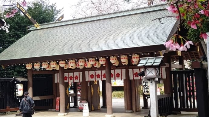 桜が咲いたら