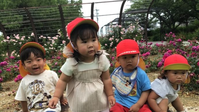 おひさま組通信
