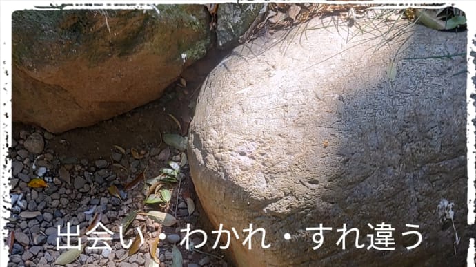 出会い・わかれ・すれ違う