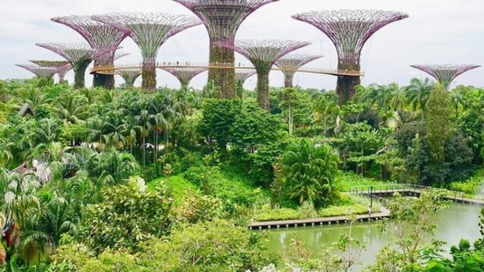 「ガーデンズバイザベイ（シンガポールの植物園）」～口語短歌と写真で綴る「世界文化紀行」