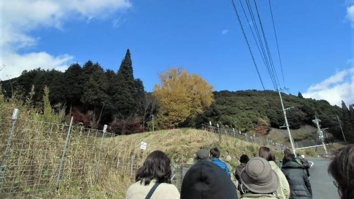 佐賀県唐津市厳木町「平之神社」&初めて見る風景良いでしゅね🐈