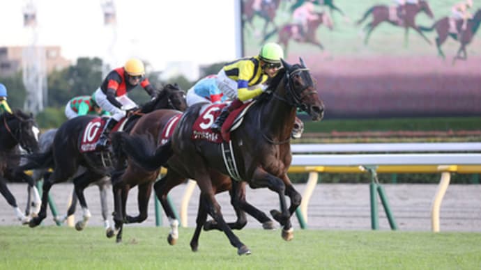【予想】 第24回 富士ステークス G2