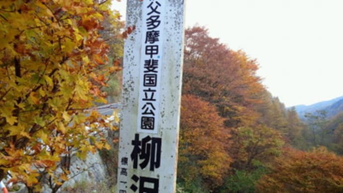 紅葉の柳沢峠