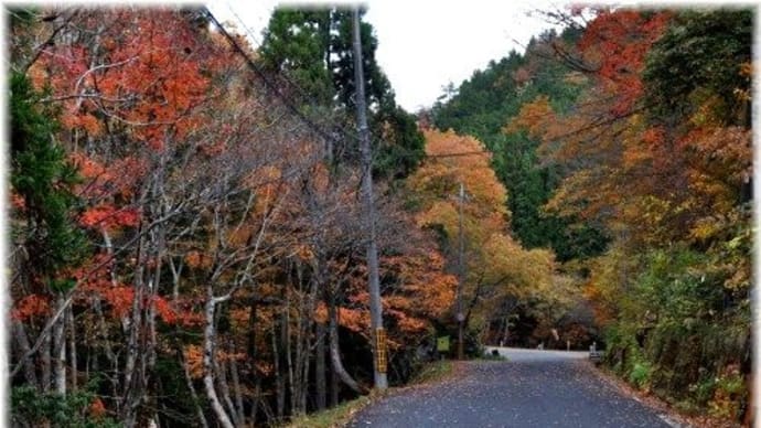 岡山県立森林公園「岡山県鏡野町上斎原, 羽出」