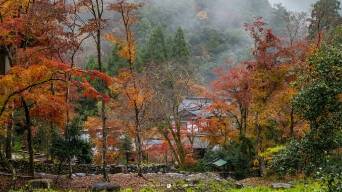 三尾と北野天満宮・2022年紅葉巡り【番外編】秋の奈良・京都・滋賀の旅