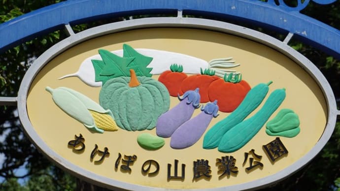 ぶらぶら花散歩