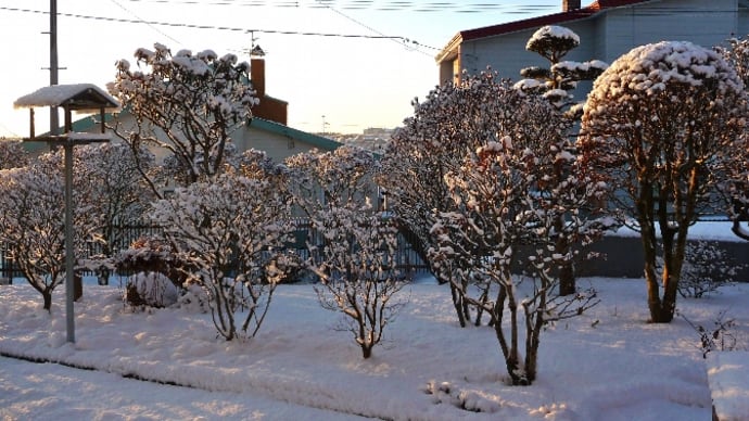 ≪釧路市内で十二月初旬の降雪(11年12月4日)≫