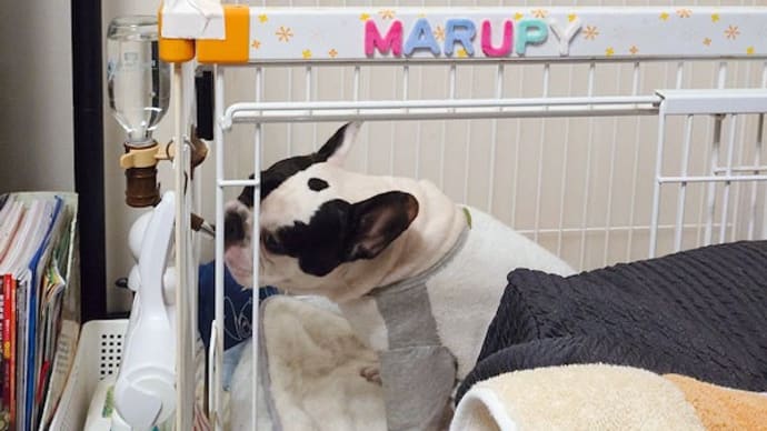 リンパ腫も色々ありすぎて。。。