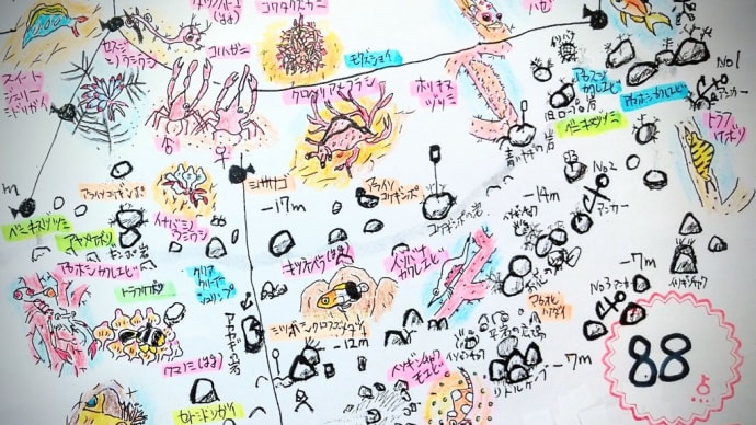 石橋最新生物事情2023/01/08[w/map]