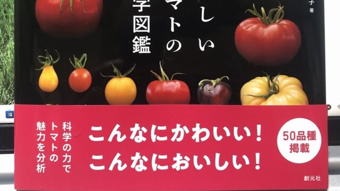 トマトの自家採種