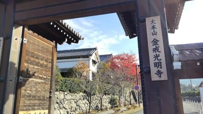 今日(京)散歩-👣🩰👣-page 1~金戒光明寺にて🍁