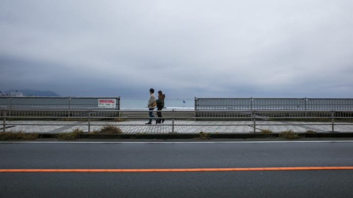 湘南点景【由比ヶ浜】曇天の由比ヶ浜で探した鮮やかな被写体たち
