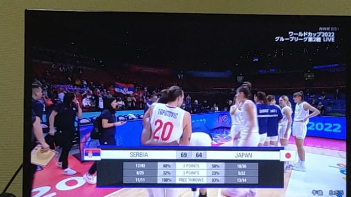 セルビアに敗戦