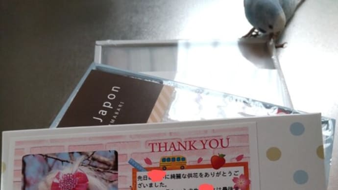 可愛いお友達