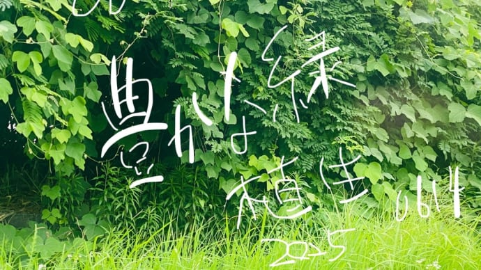 豊かな植生 豊かな緑 緑のある風景 植生のある風景