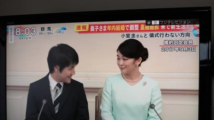 意志は固かった
