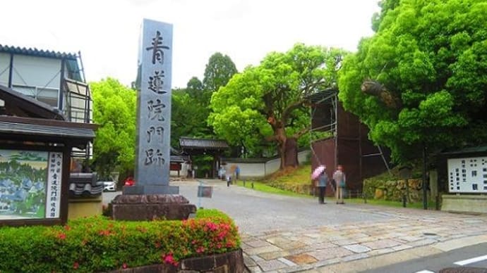 京都写ん歩 青蓮院門跡、修理中・・
