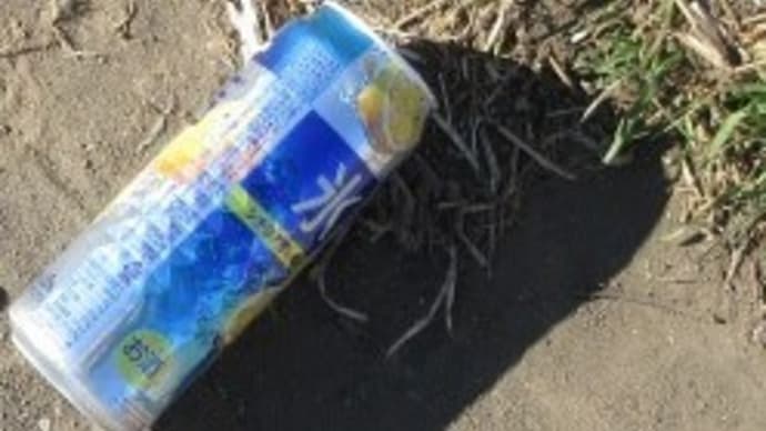 寒いのに