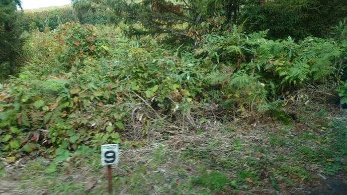 もみじ狩り 青森県弘前市 津軽岩木スカイライン(2)津軽岩木スカイライン69個のカーブへ突入ぅ~