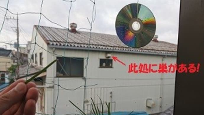 厄介者が隣に引越して来ました!