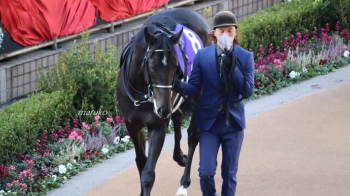 明日の競馬☆