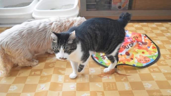 さくらには弱いらしい