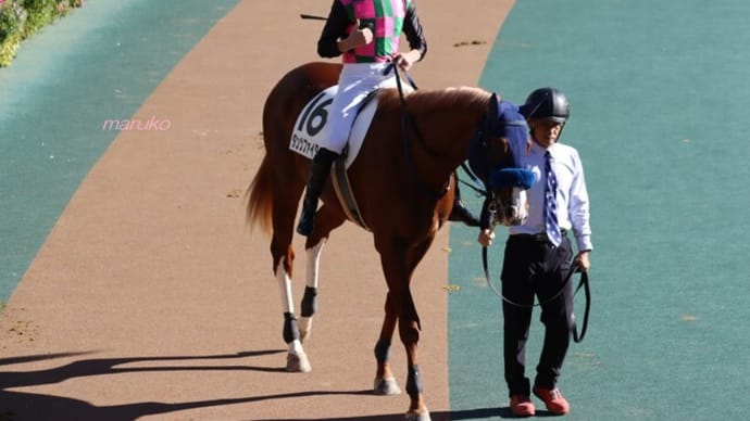 がんばれ!初勝利6