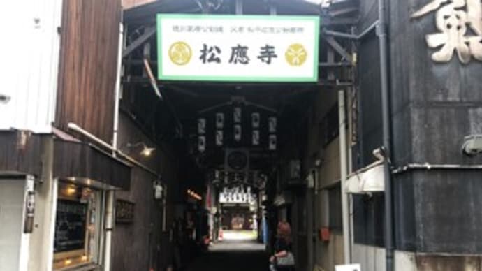 【松應寺(愛知県岡崎市)】御朱印〔2023-8-24〕