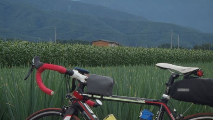 曇っているけど、山が見える日に、安曇野周回
