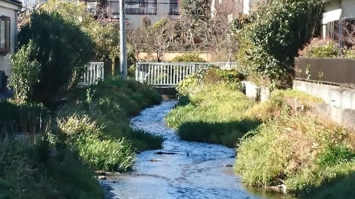 2019年度ウォークラリー クイズ答え